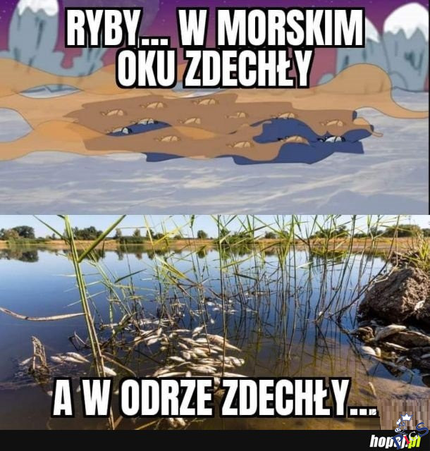Kto by przeżył w takim państwie?