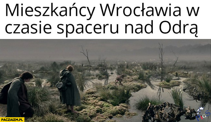 Mieszkańcy Wrocławia