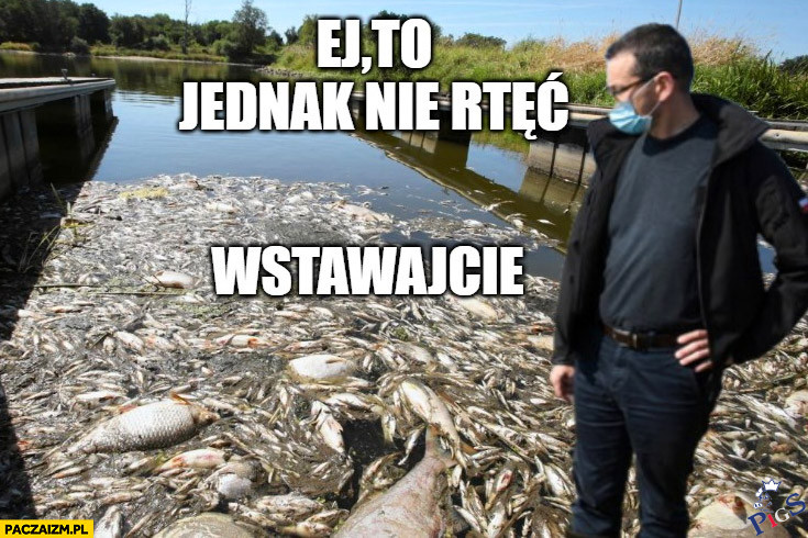 Na ryby propaganda nie działa