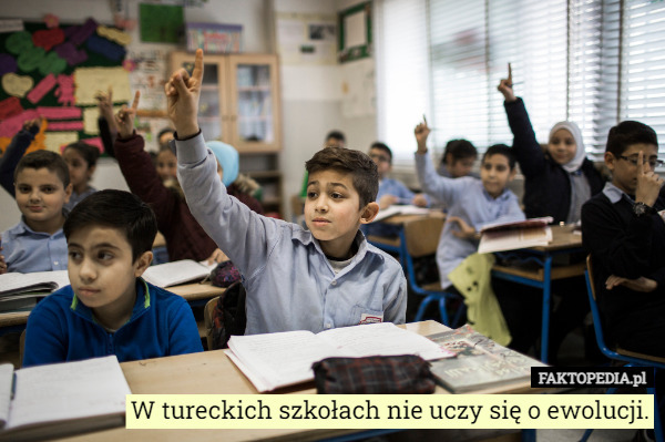 Niedługo także w polskich…