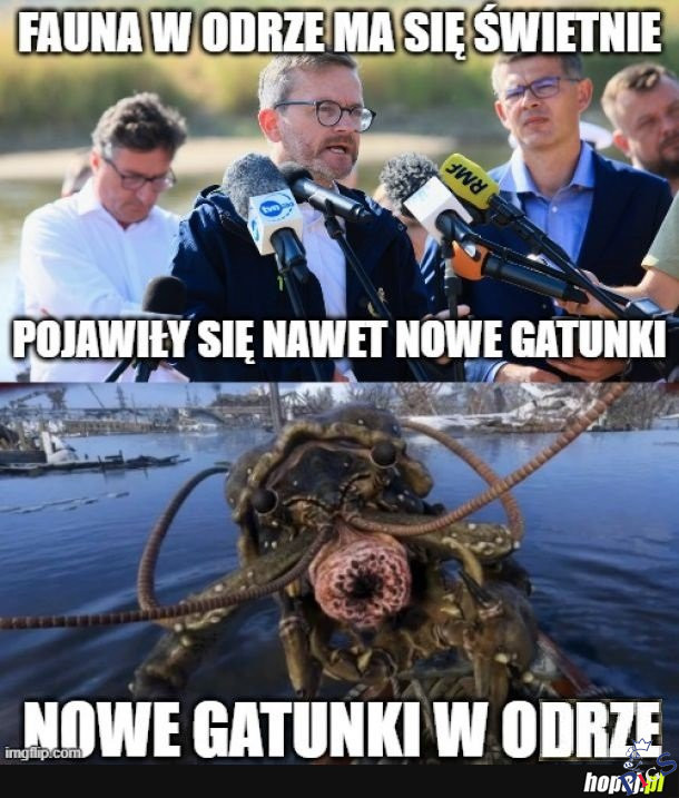 Nowe gatunki w Odrze
