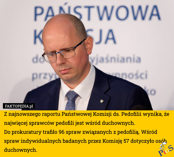Państwowa Komisja ds. Pedofilii