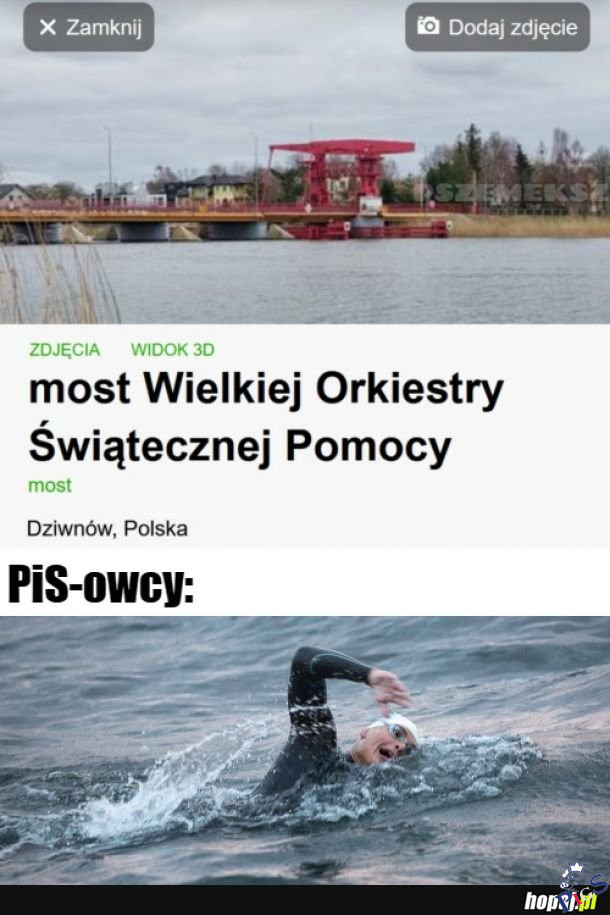 PiSowcy i most WOŚP
