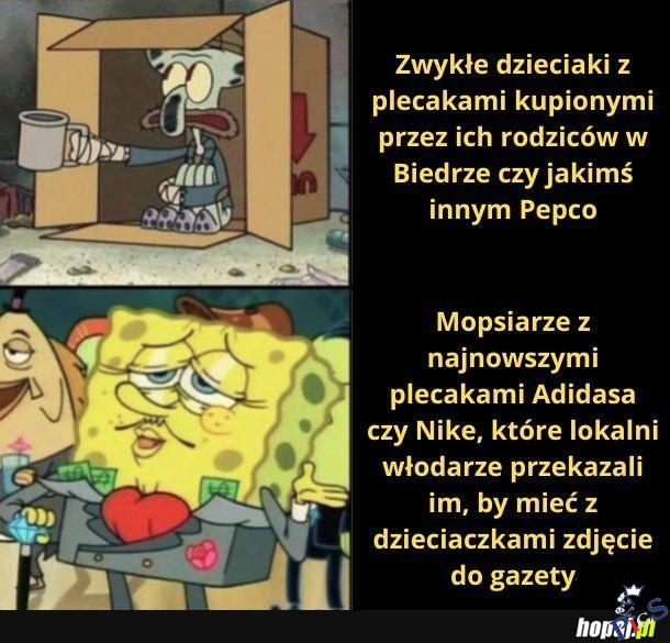 Plecaki