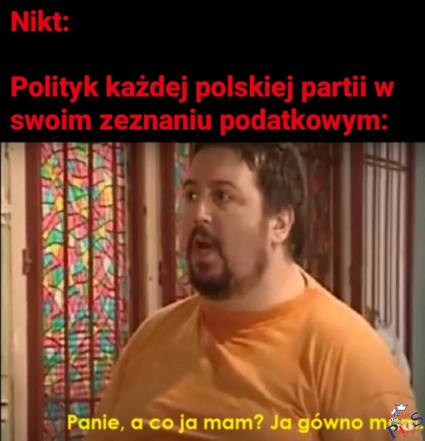 Polityk każdej polskiej partii w swoim zeznaniu podatkowym