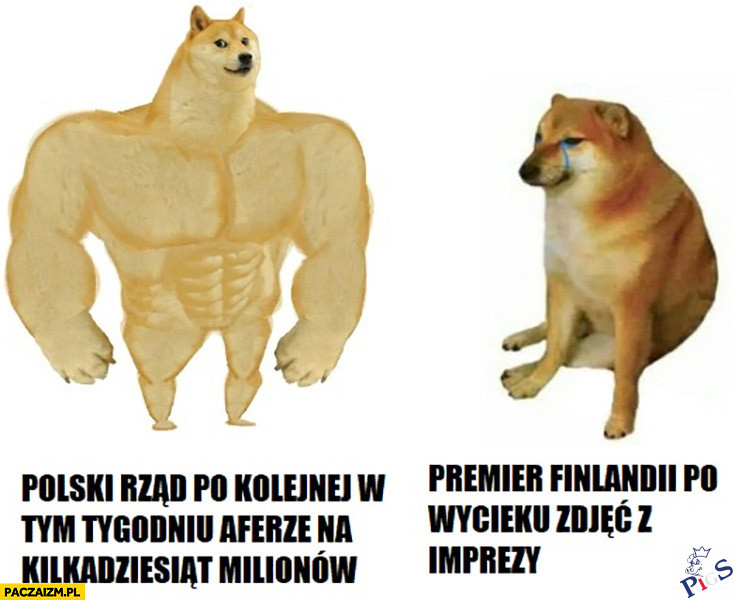 Polski rząd vs. Premier Finlandii
