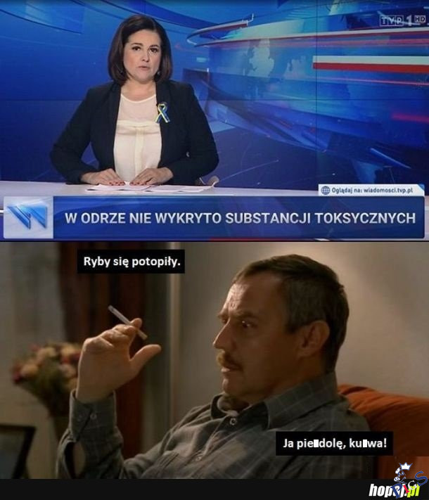 Ryby się potopiły