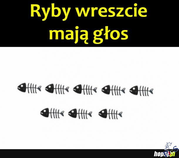 Ryby wreszcie mają głos