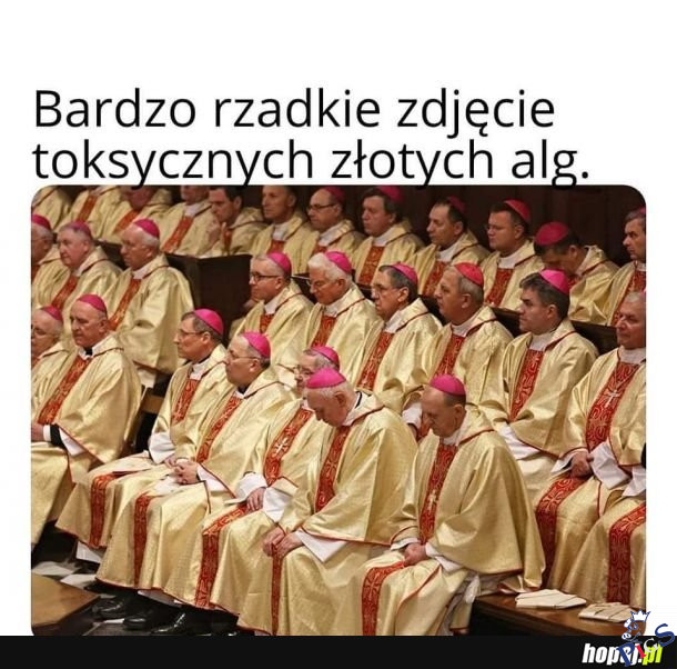 Toksyczne złote algi