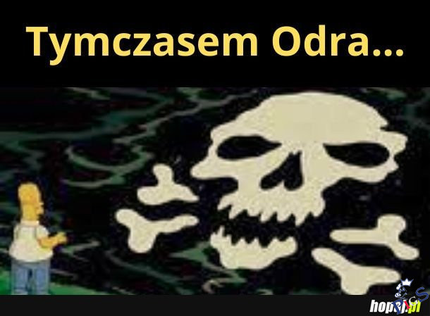 Tymczasem Odra