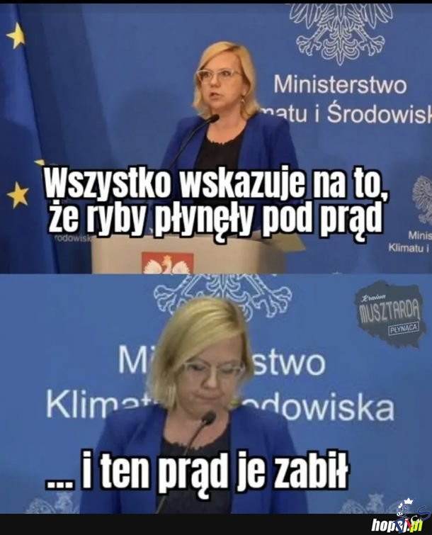 Wszystkiemu winien prąd