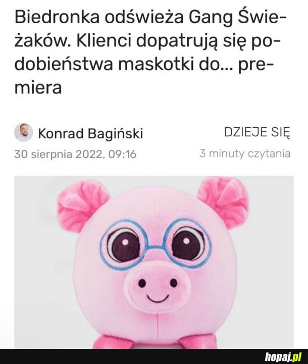 Zawsze mogli wprowadzić pinokia zamiast świni