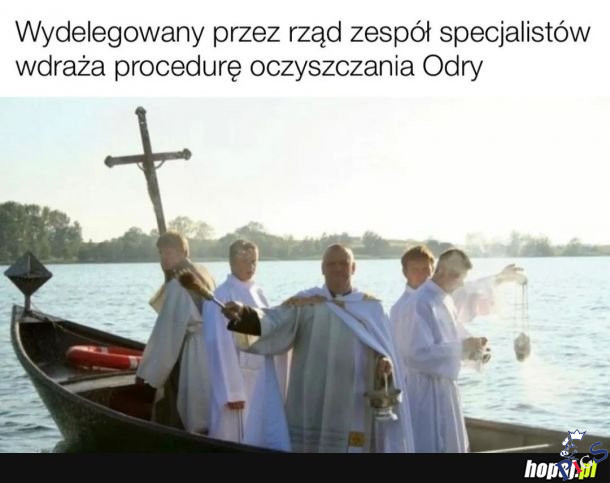 Zespół specjalistów wydelegowany przez rząd