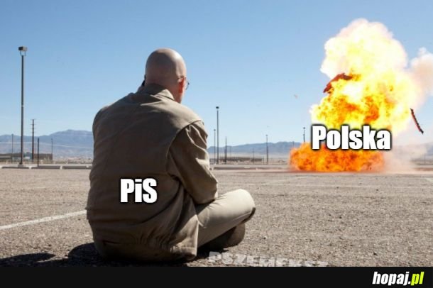 Dzifki, alko, rozpierducha