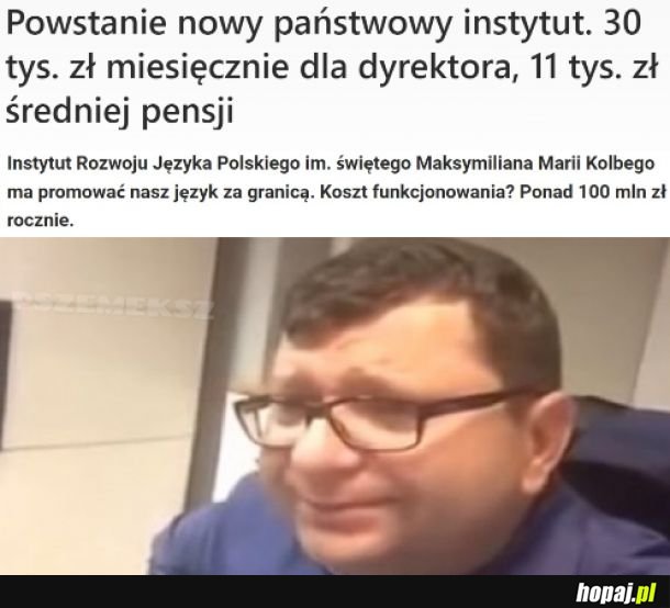 Instytut Rozwoju Języka Polskiego