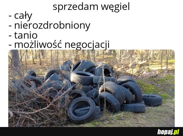 Opau