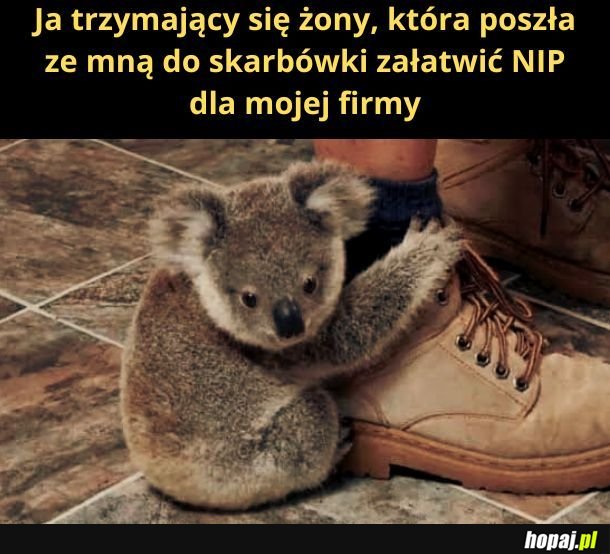 Początki przedsiębiorczosci w tym kraju bywają trudne