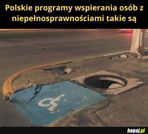 Polskie programy wspierania osób z niepełnosprawnością