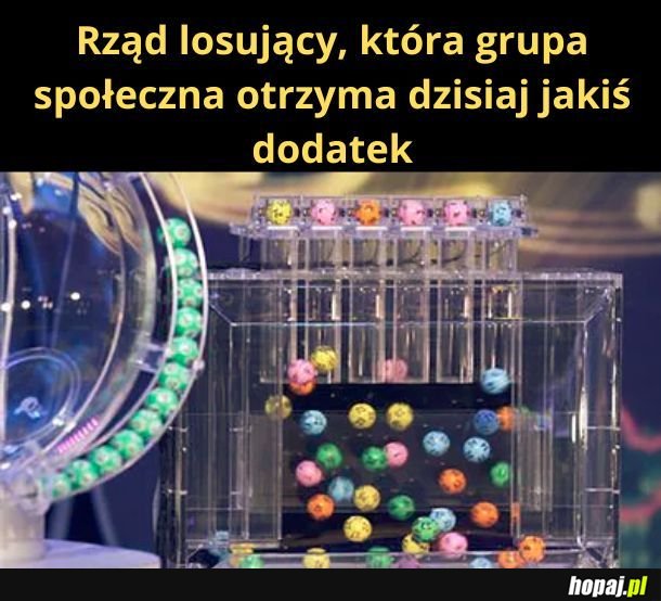 Programy rządowe