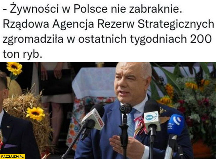 Rządowa Agencja Rezerw Strategicznych