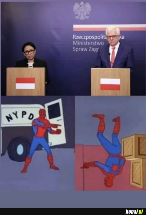 Spotkanie Polska – Indonezja