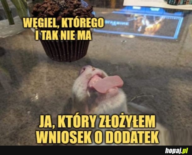 Szczują