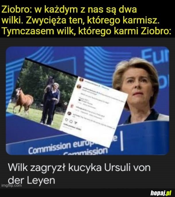 Są w nas dwa wilki: 1 i 0