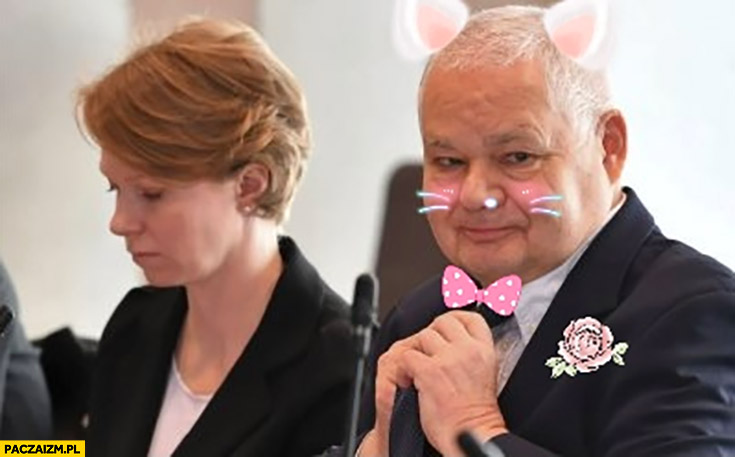 Słodki króliczek
