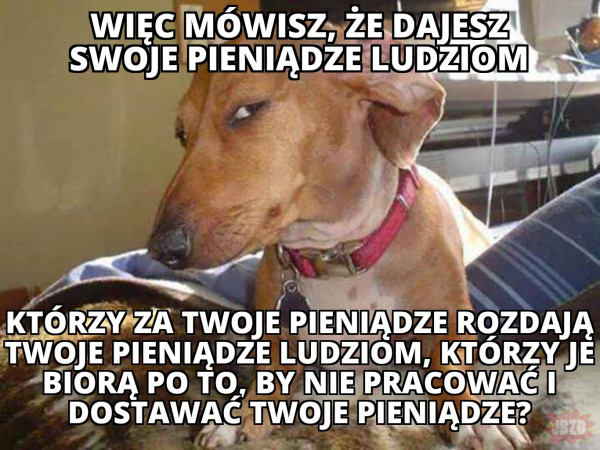 Tak działa rząd
