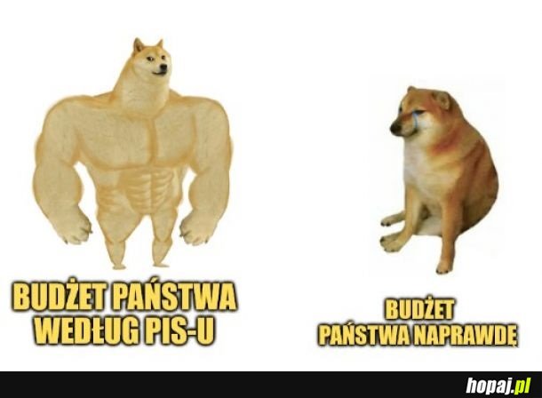 Budżet z gumy