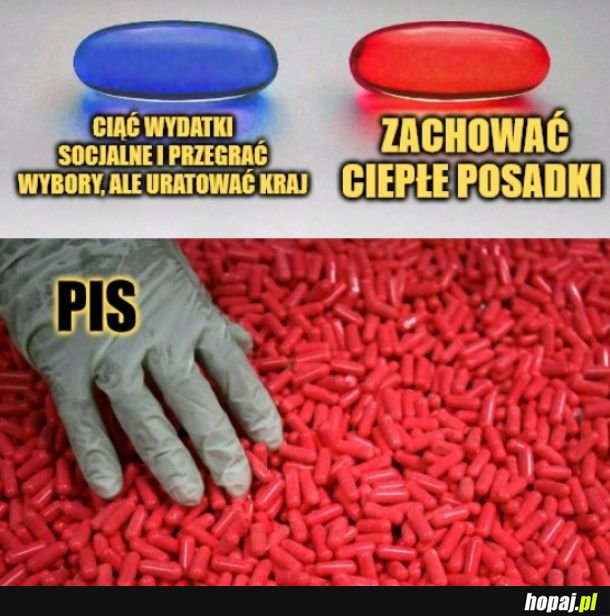 Ciepłe posadki idealne na zimę