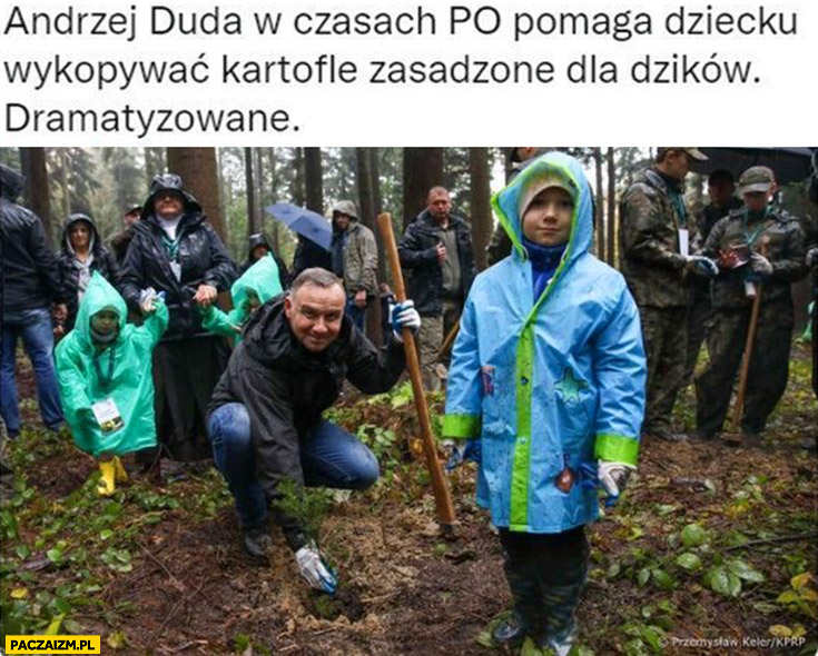Dramatyzowane