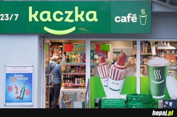 Kaczka