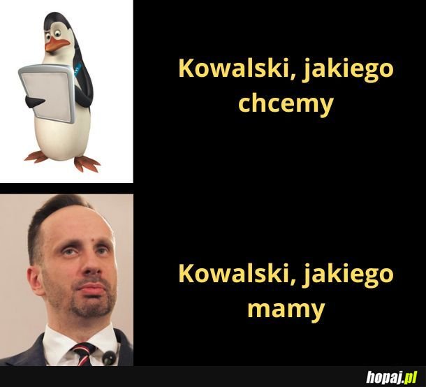 Kowalski jakiego chcemy vs. Kowalski jakiego mamy