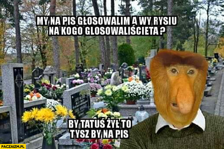 Listopadowe poloczków rozmowy