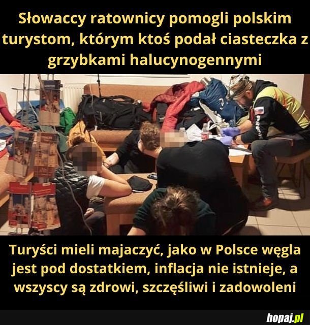 Majaczący turyści
