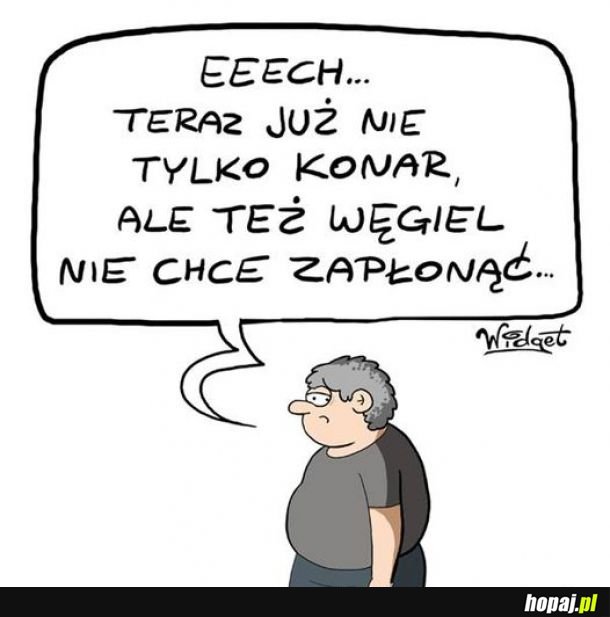 Nie tylko konar