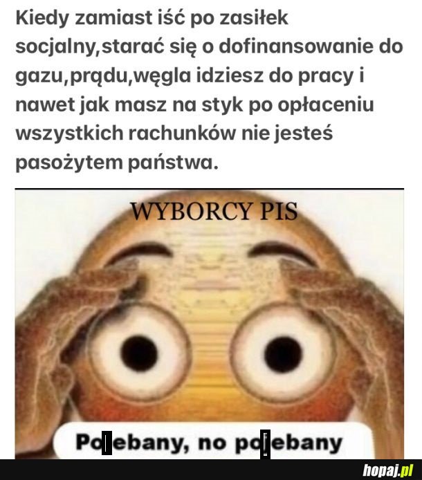 No jakiś głupi
