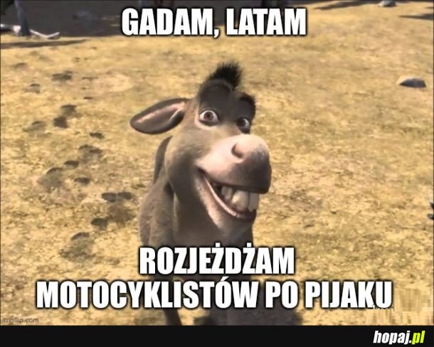 Pijany osioł