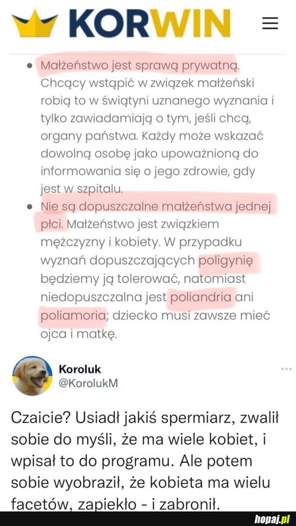 Program pisany przez spermiarza