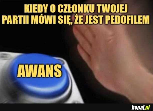 Standardy polskiej polityki