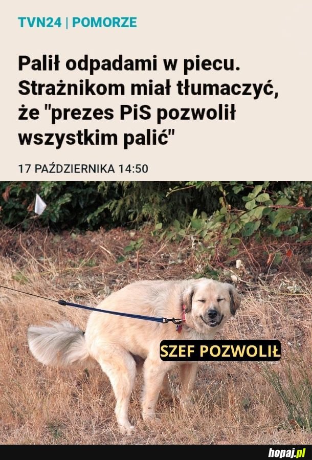 Szef pozwolił