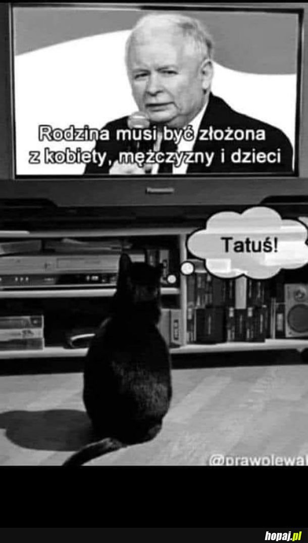 Tatuś