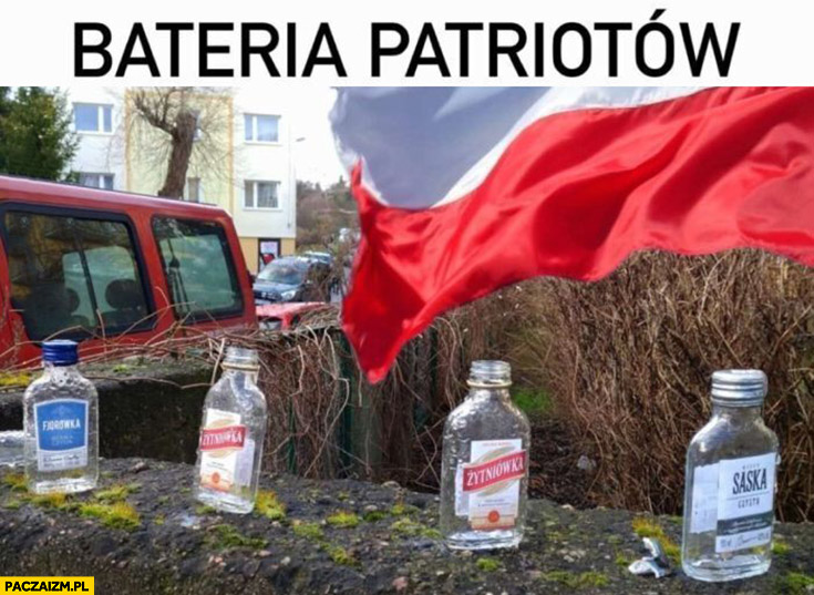 Bateria patriotów wersja polska