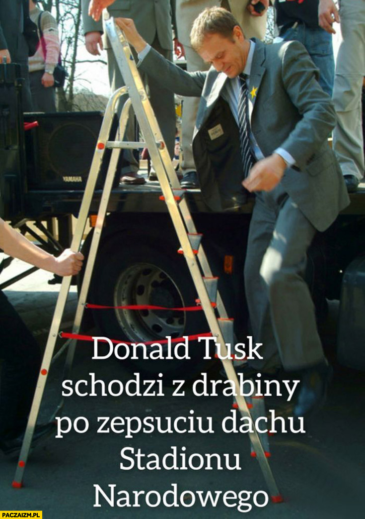 Donald Tusk schodzi z drabiny