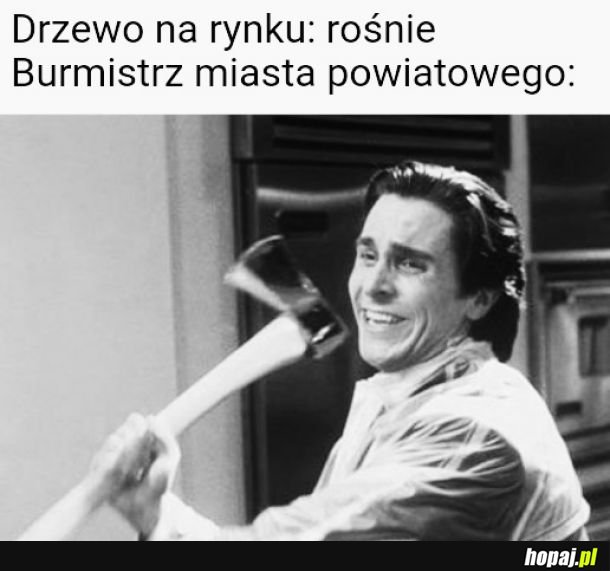 Drzewo vs. burmistrz