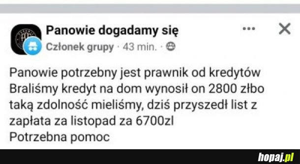 Kredyt wynosił i zapewne nadal wynosi kilkaset tysięcy złotych. Wiedza ekonomiczna natomist wynosi zero