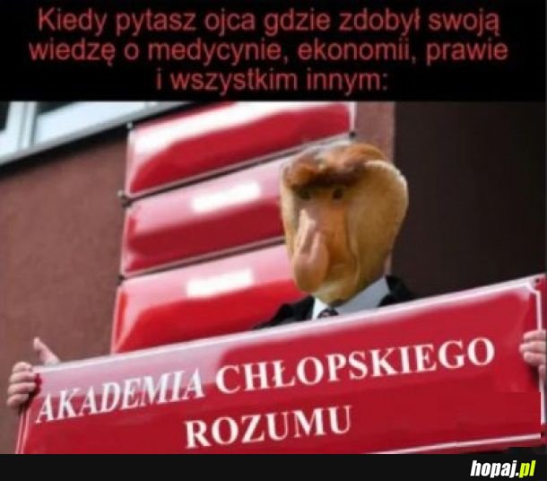 Na chłopski rozum!