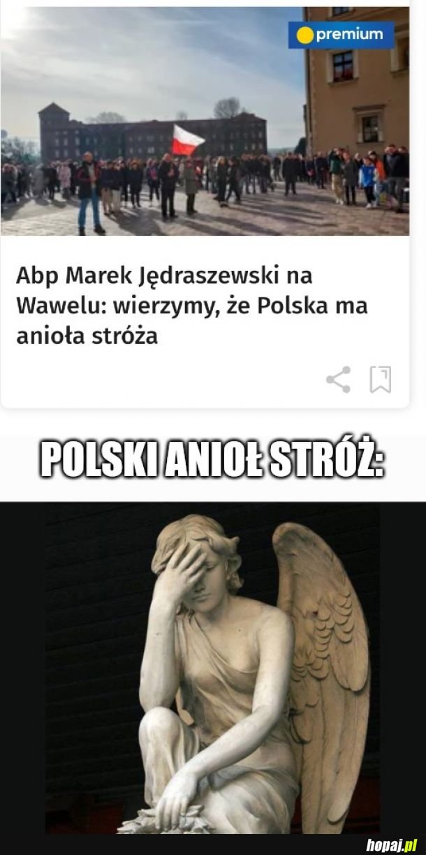 Polski anioł stróż