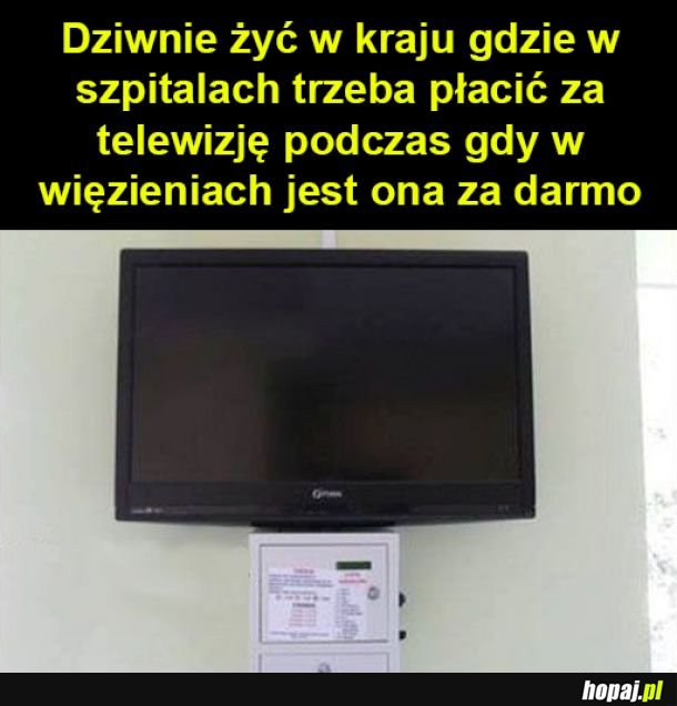 Bolzga